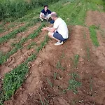 Apartamento Agroturizam Podastrana Hrvace